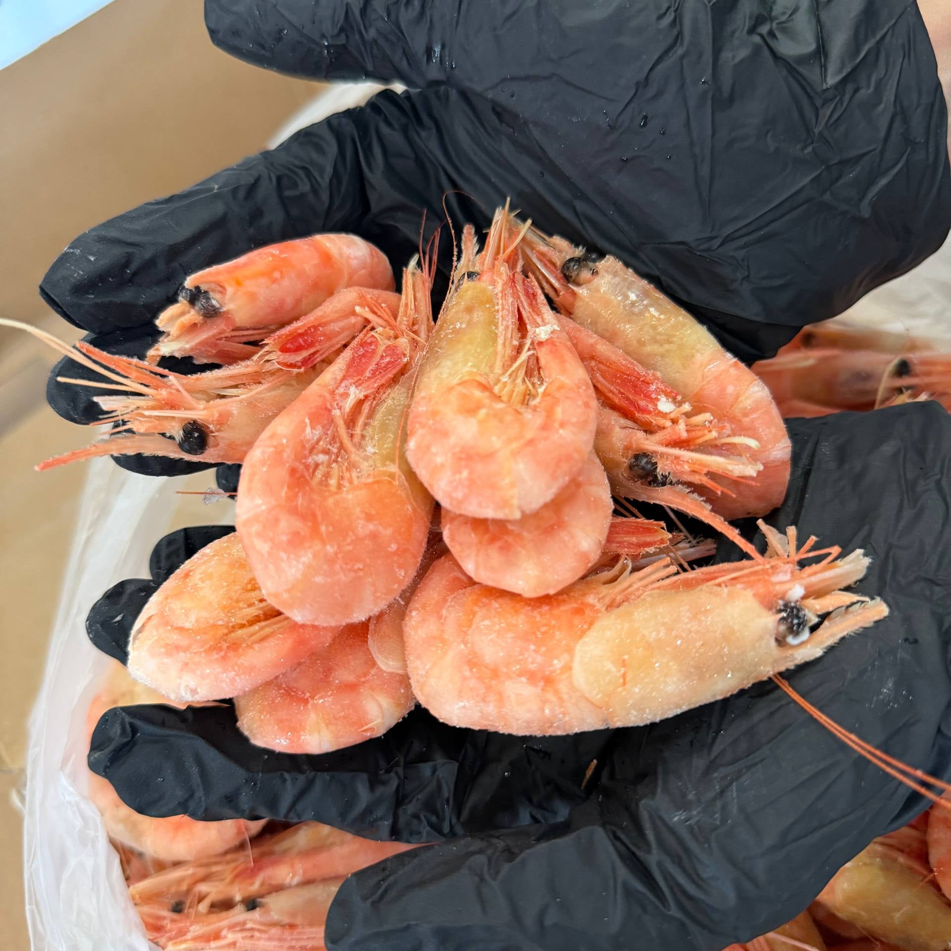 Krewetki Północne 80-100 (NORWESKIE) gotowane luz Друге фото товару