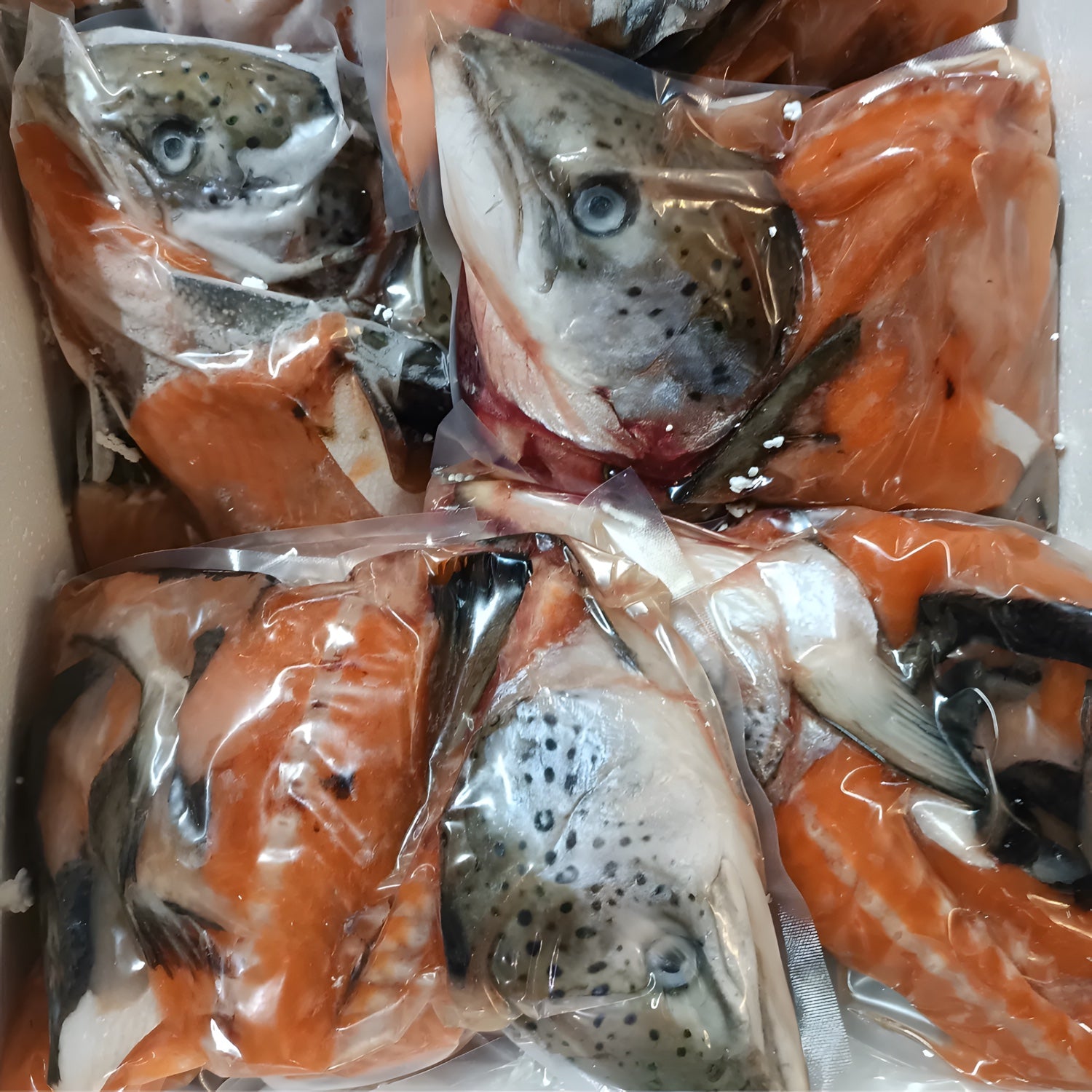 Soup-Mix z Łososia 800g