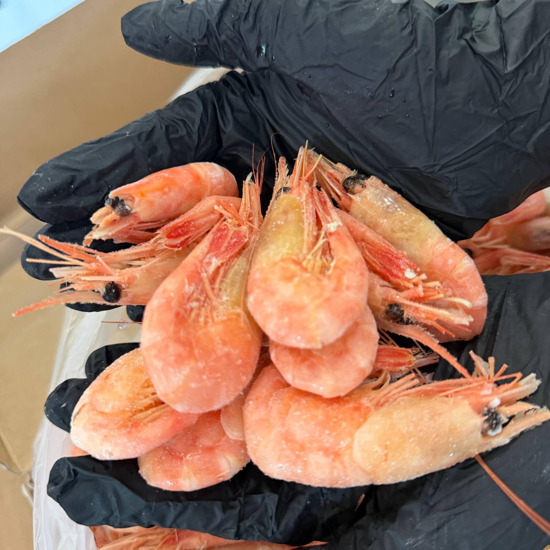 Krewetki Północne 80-100 (NORWESKIE) gotowane luz Головне фото продукту