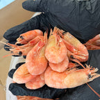 Krewetki Północne 80-100 (NORWESKIE) gotowane luz