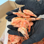 Krewetki Północne 80-100 (NORWESKIE) gotowane luz