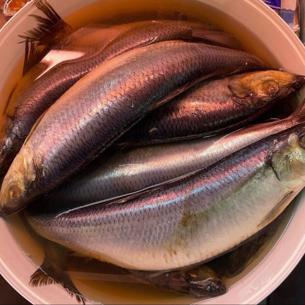 Śledzie małosolny luz