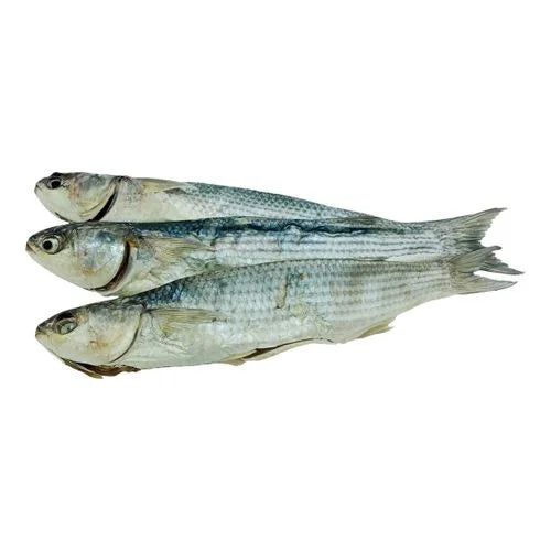 576bfb4c731d1657fac002fb120ce51c Головне фото продукту