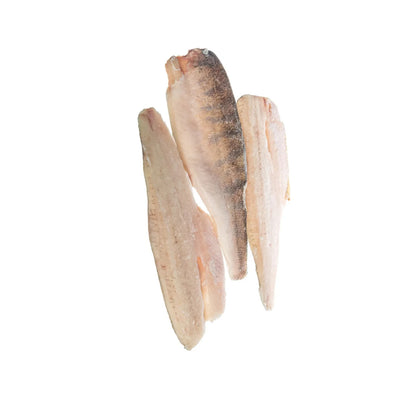 Filet sandacz 100-200 luz