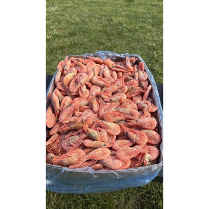 Gotowane krewetki 90-120 w pudełku na trawie, pełne opakowanie 5 kg