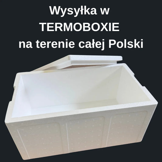 Gotowane Krewetki 90-120 5 kg – Darmowa dostawa + Termobox gratis - Sklep ukraiński w Polsce