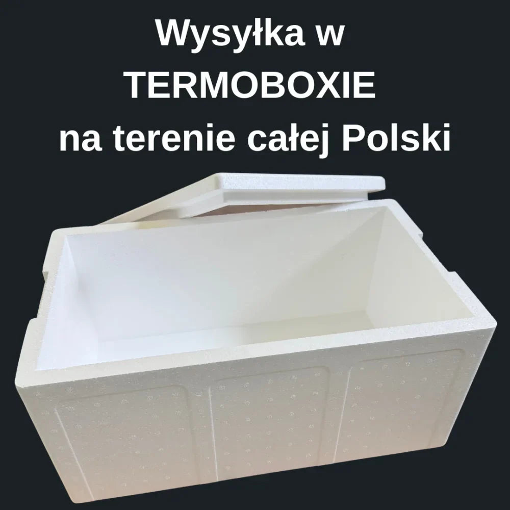 Krewetka Grenlandzka 70-90 gotowana luz - Sklep ukraiński w Polsce