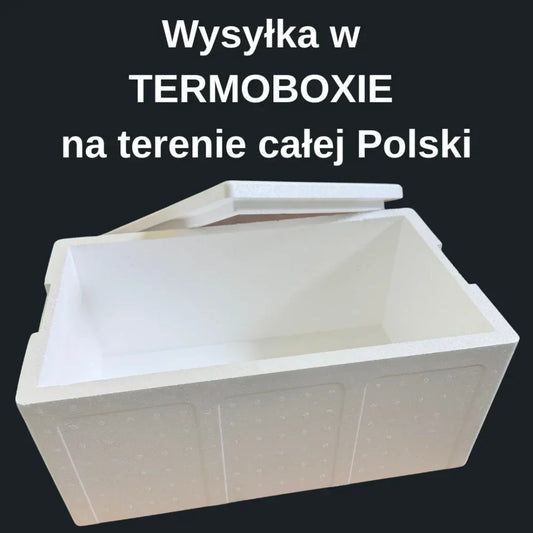 Krewetka Grenlandzka 90-120 gotowana luz - Sklep ukraiński w Polsce