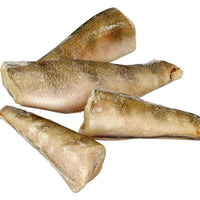 Nototenia tusza luz