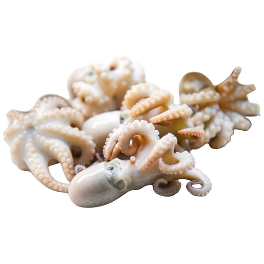 Ośmiorniczki baby Mrożone 60 800g