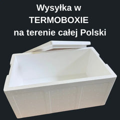 0c43819144695f9758ecc02068953668