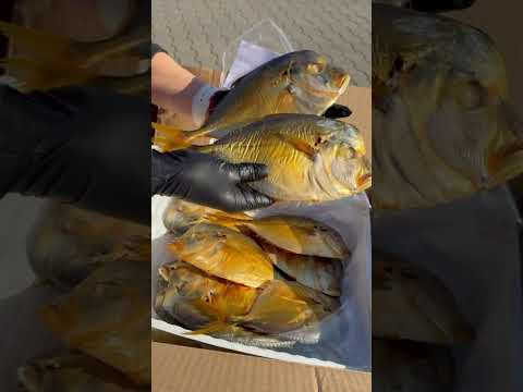 Womer(Selena) wędzony