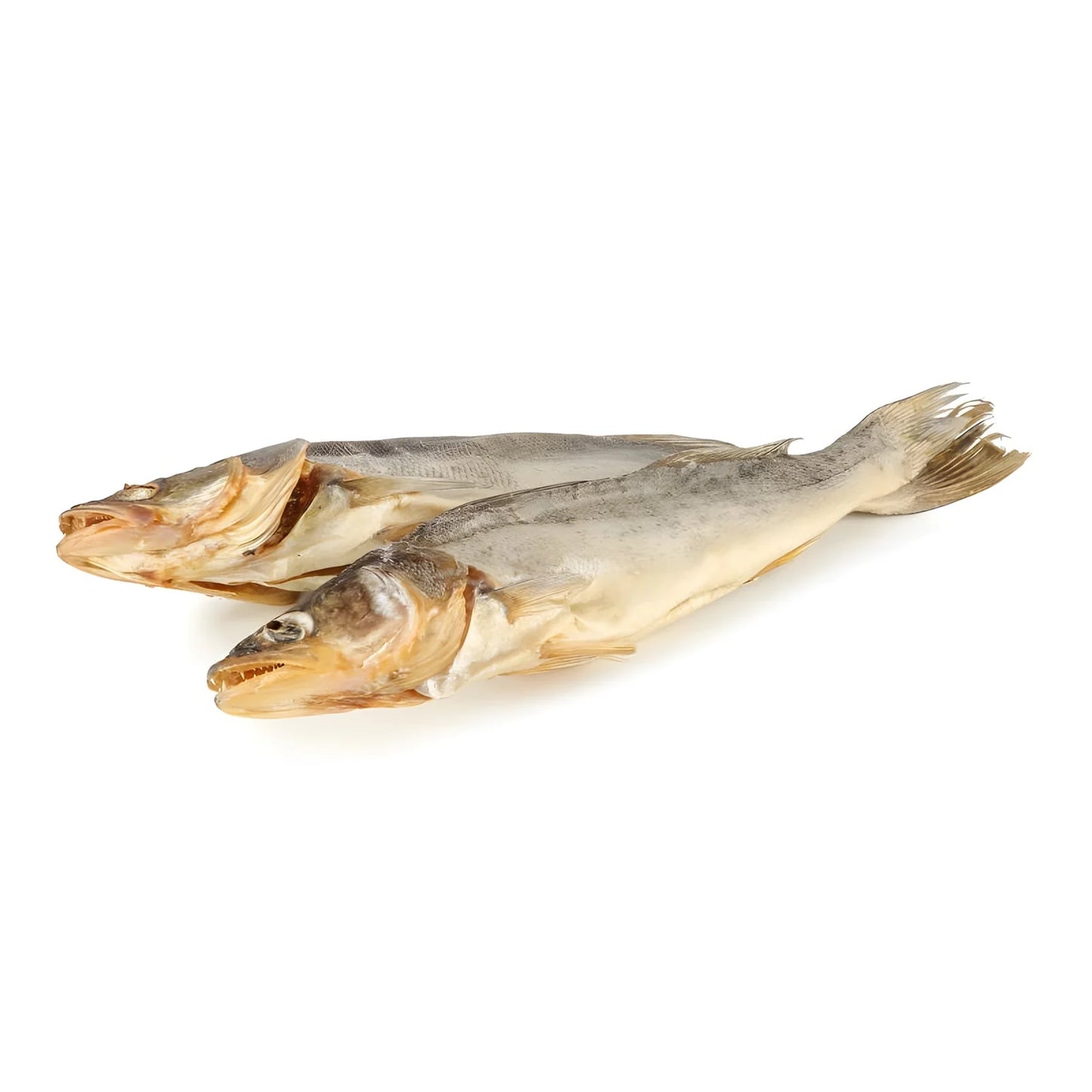 Sandacz patroszony luz