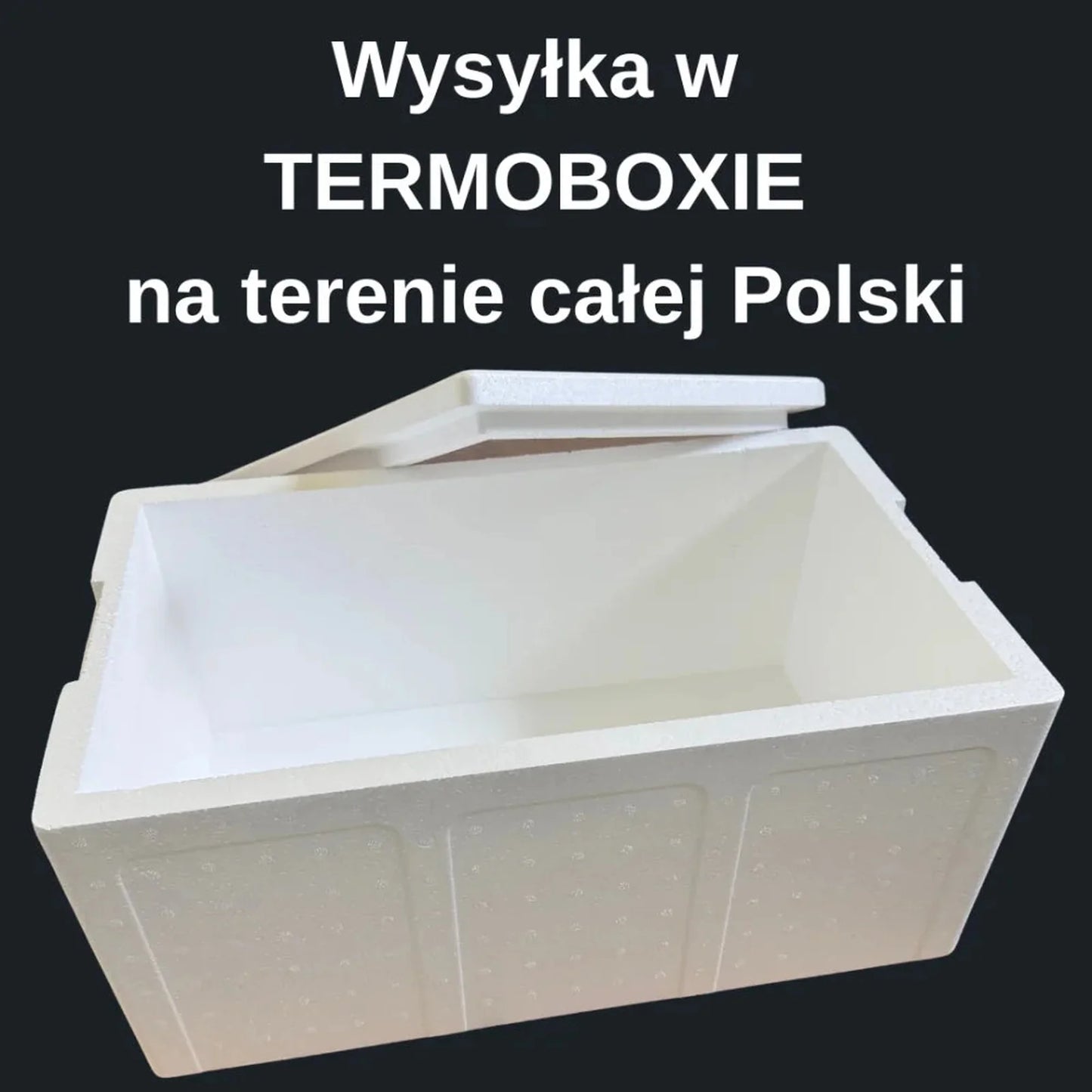 Krewetka Grenlandzka 70-90 gotowana 5 kg + Darmowa dostawa + Termobox gratis - Sklep ukraiński w Polsce