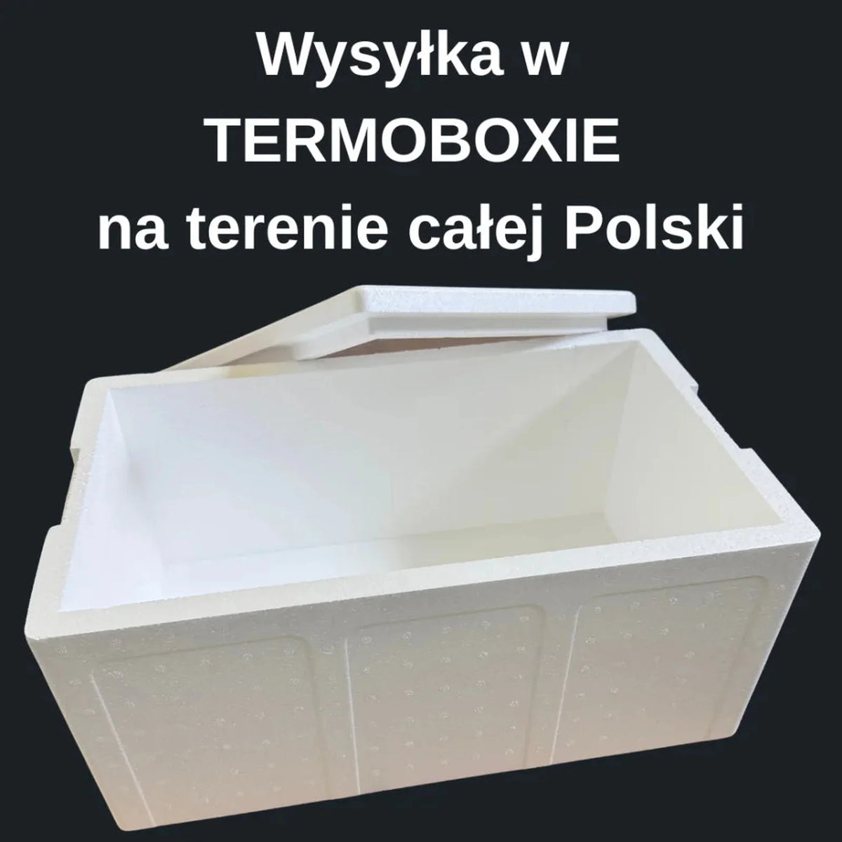 Krewetka Grenlandzka 70-90 gotowana 5 kg + Darmowa dostawa + Termobox gratis - Sklep ukraiński w Polsce